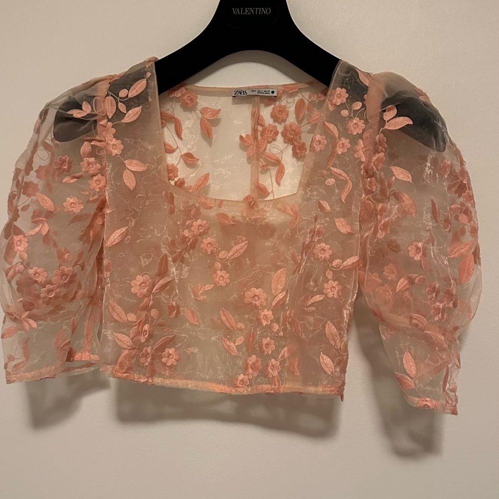 Zara Floral Embroidered Sheer Organza Pink Top Puff Sleeves